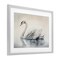 Stupell Industries Elegant Floating Swan Framed Print Under Glass, design by Sasha
